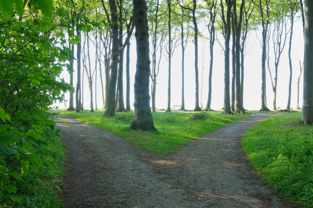 Nienhagen, Bad Doberan, Western Pomerania, Mecklenburg-Vorpommern, Germany --- Image by Â© Radius Images/Corbis